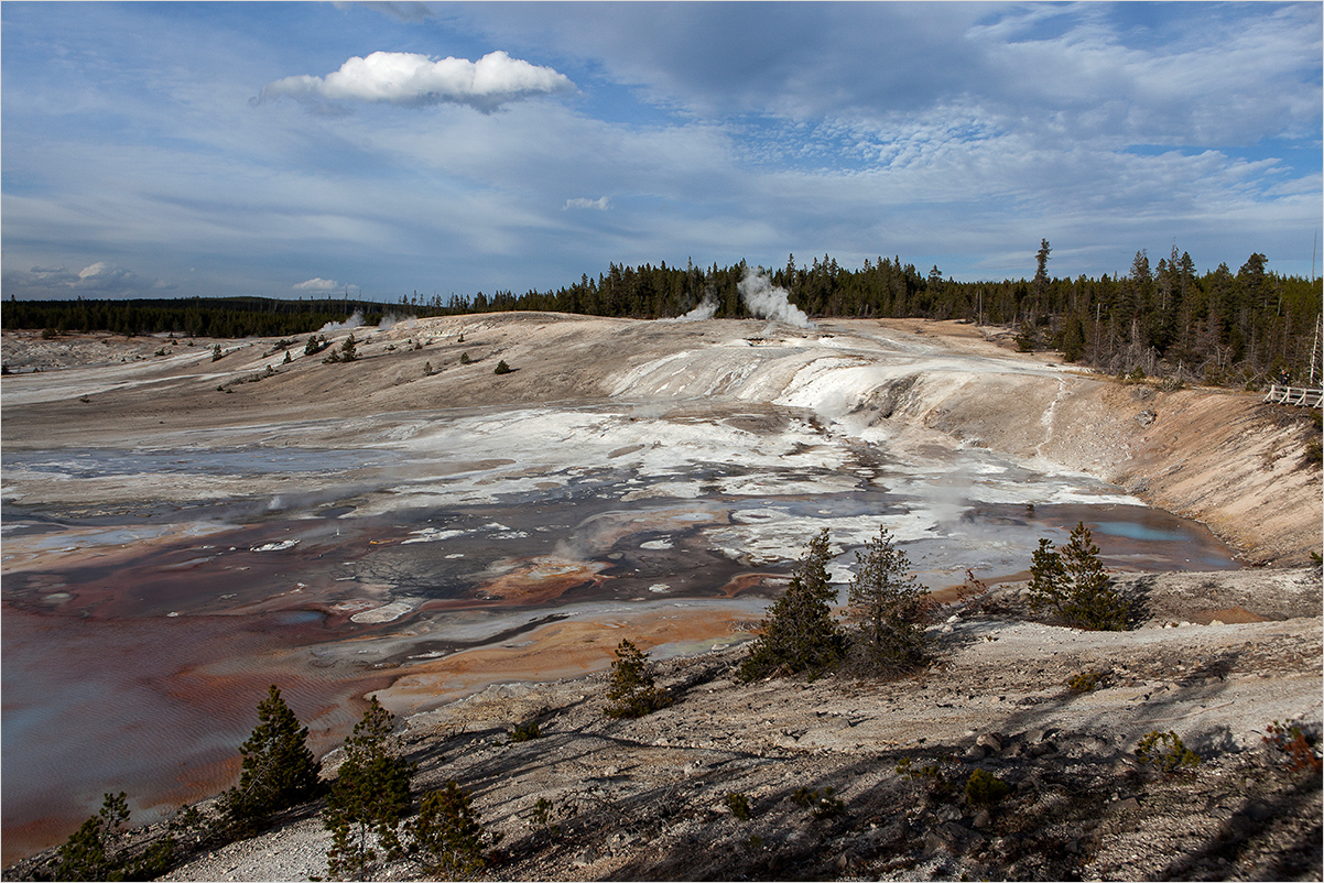 Norris Geyser Basin