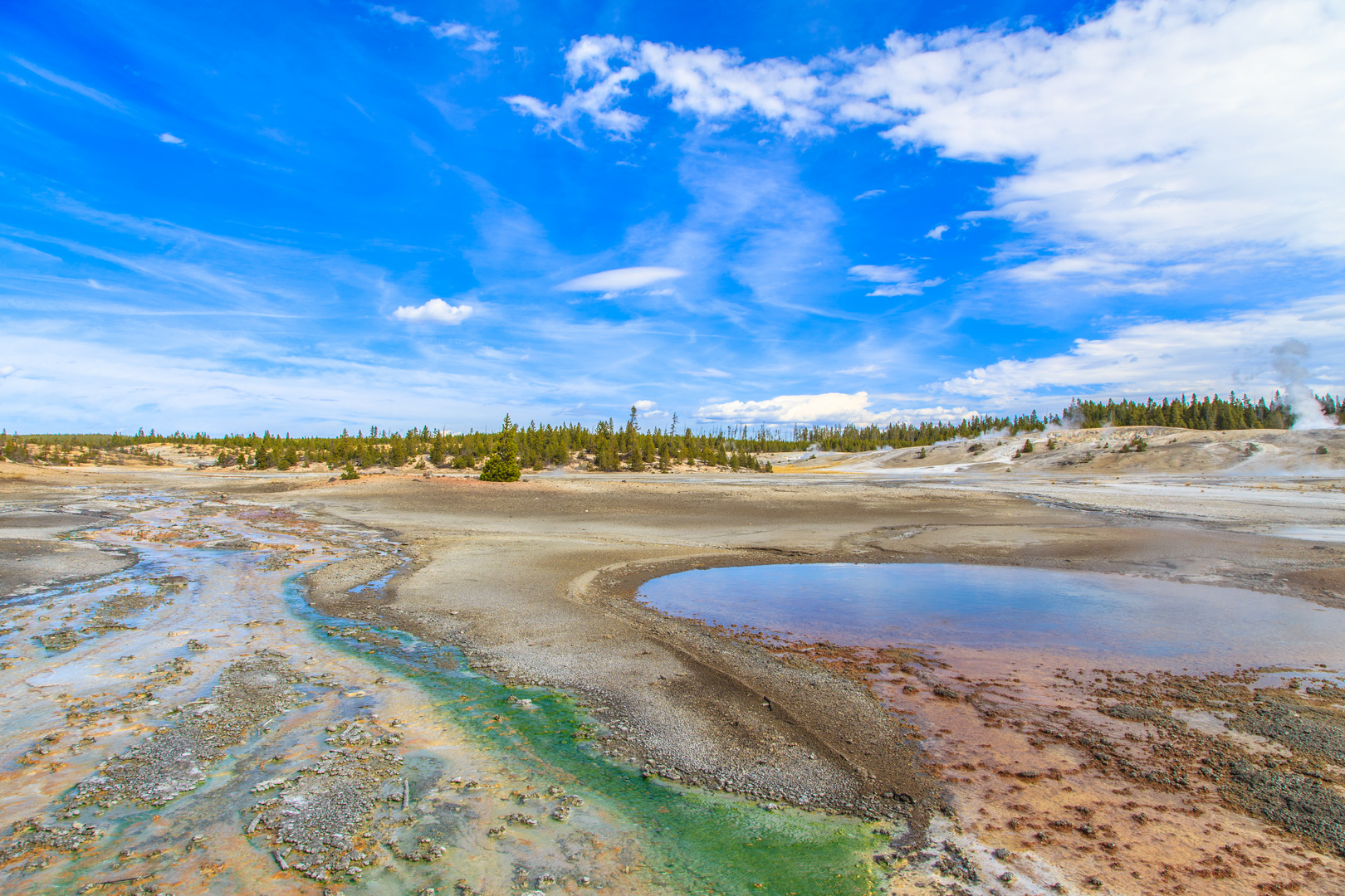 Norris Geyser Basin 