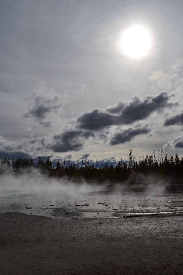 Norris Geyser Basin