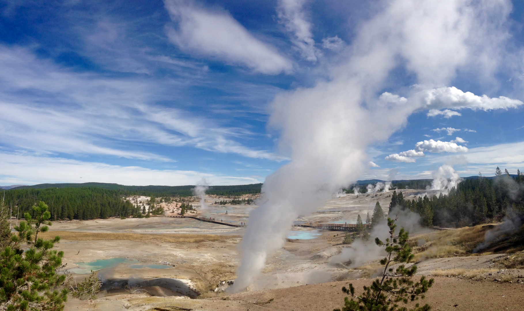 Norris Geyser Basin (Yellowstone National Park, USA)