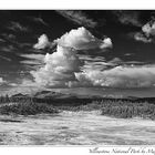 Norris Geysir Baisin B&W