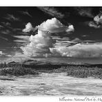 Norris Geysir Baisin B&W