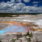 Norris Geysir Basin, Yellowstone NP.