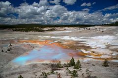 Norris Geysir Basin, Yellowstone NP.