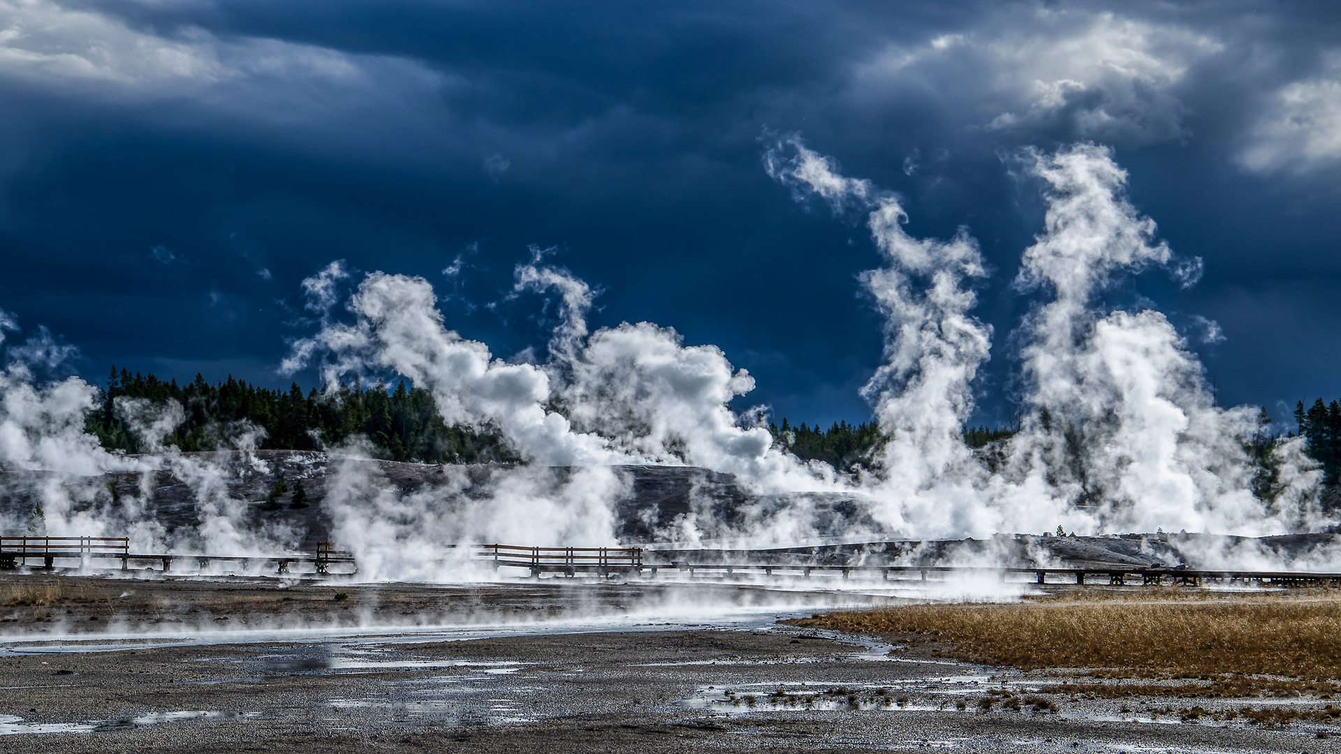 norris-geysir-becken