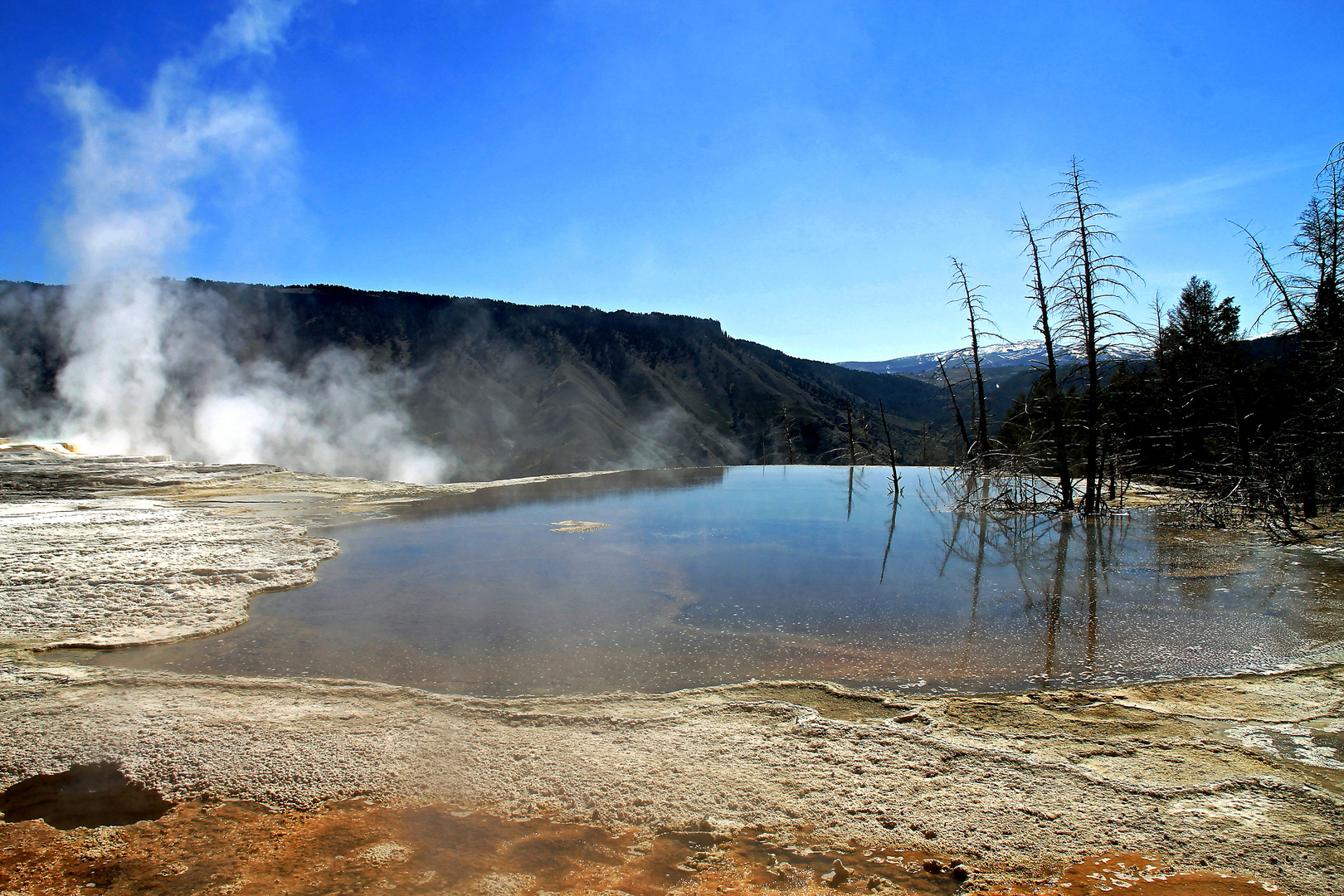 Norris Geysir-Becken, Yellowstone