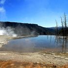 Norris Geysir-Becken, Yellowstone