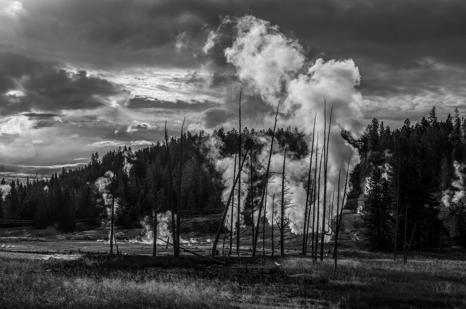 norris geysir/yellowstone NP