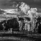 norris geysir/yellowstone NP