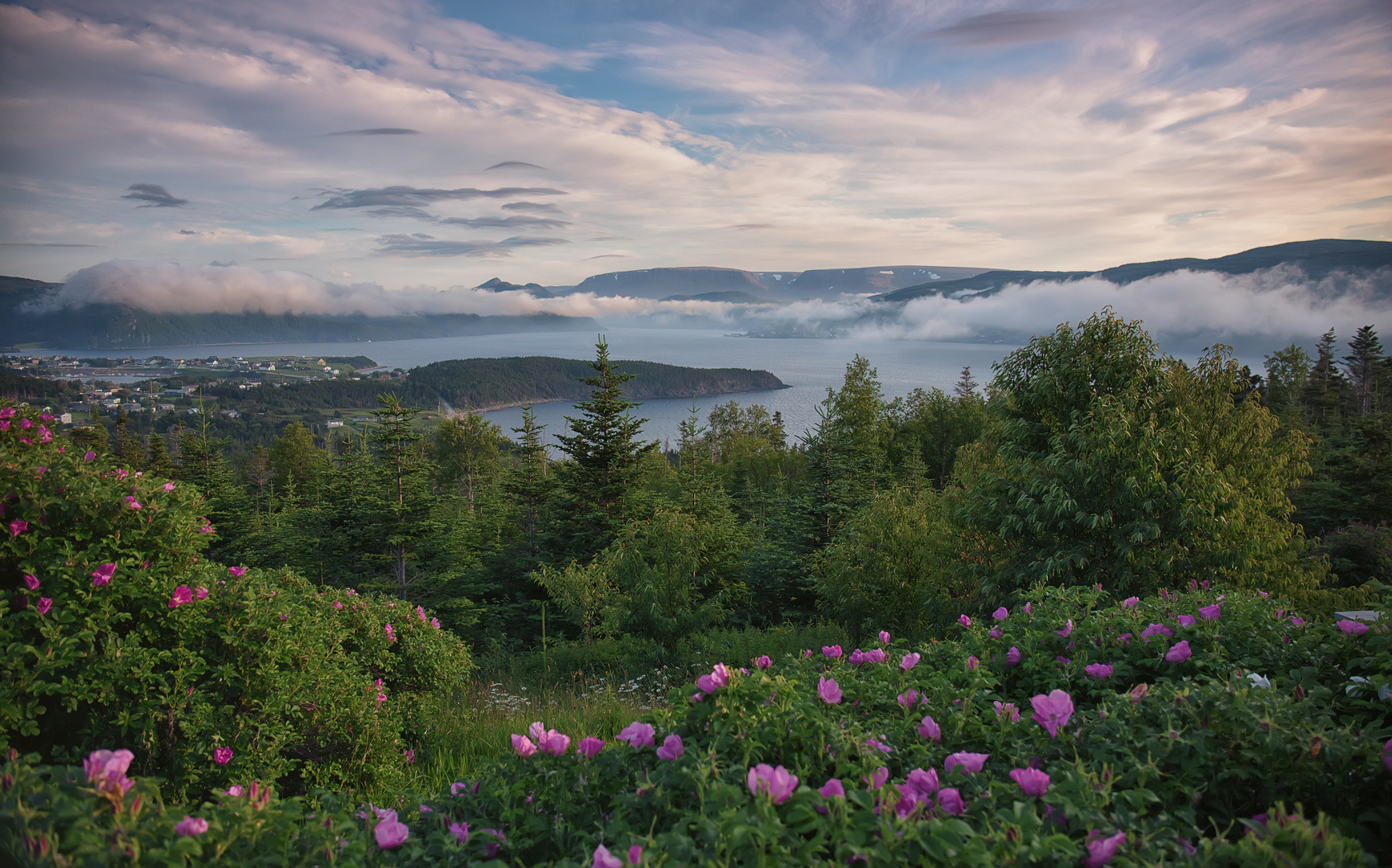 Norris Point Gros Morne Nationalpark