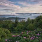 Norris Point Gros Morne Nationalpark