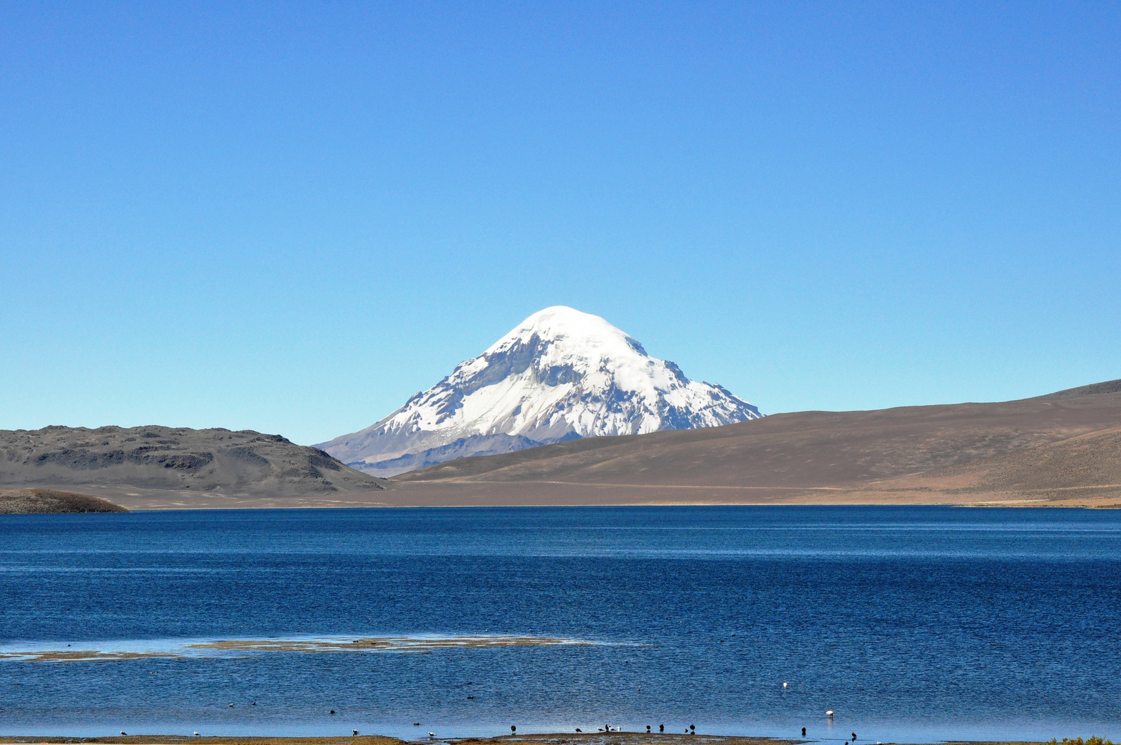 Norte altiplanico de Chile, Lago Chungara