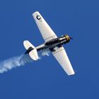 North American AT-6D Texan