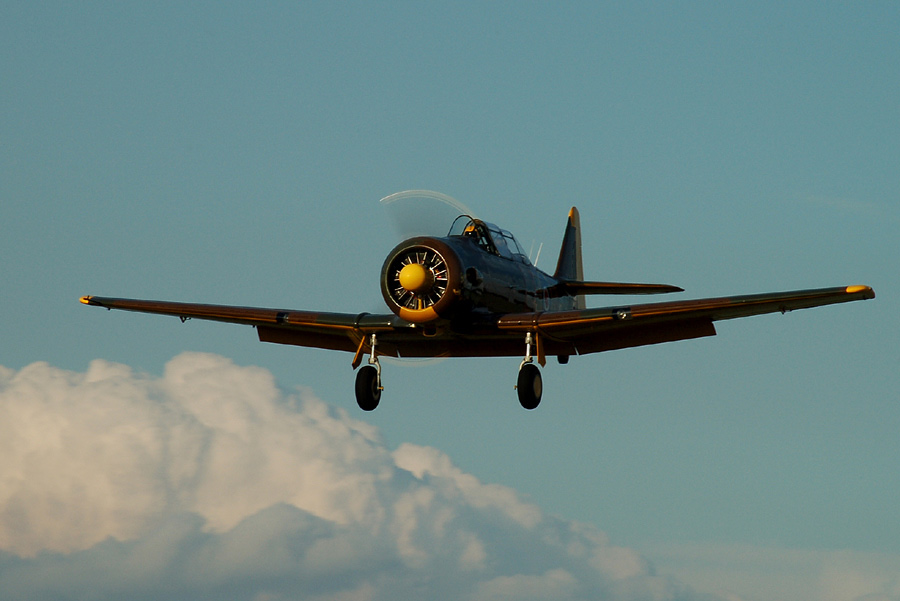 North American "Harvard", "Texan", "SNJ"