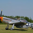 North American P-51 Mustang - Ferté Allais 2010