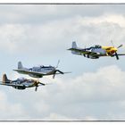 North American P-51 Mustangs (3)