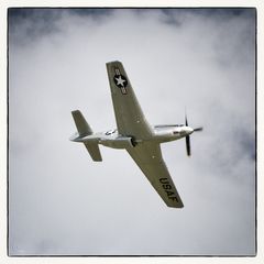 North American P-51 Mustangs (4)