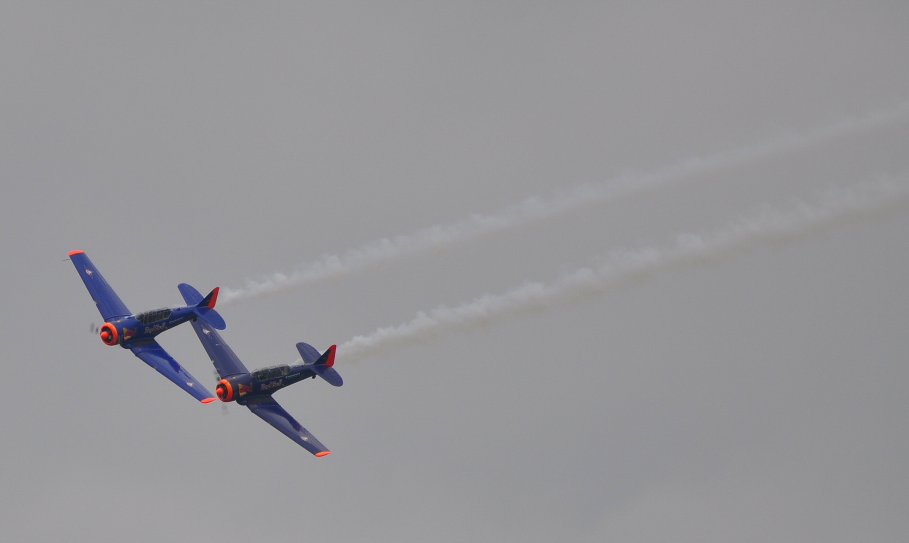 North American T-6 Harvard WArngau 2010