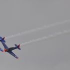 North American T-6 Harvard WArngau 2010