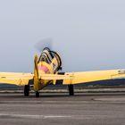 North American T-6 Texan "G-TXAN"