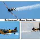 North American T-6 Texan - Harvard II A