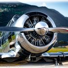 "...North American T-6 Texan...with Pratt & Whitney R-1340 Wasp engine..."