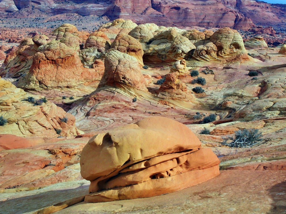 North Coyote Buttes