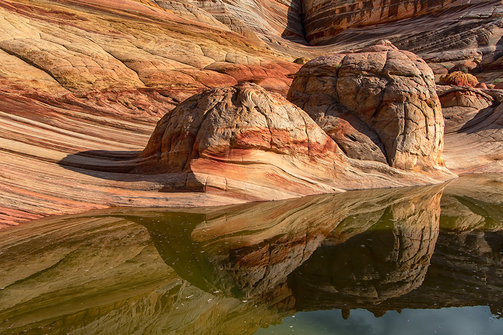 North Coyote Buttes