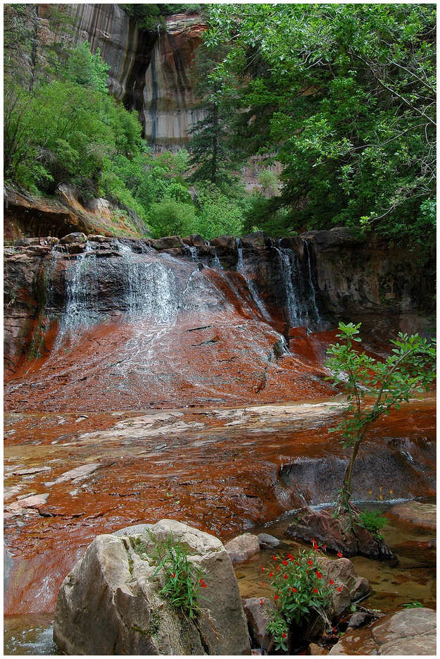 North Creek Cascades