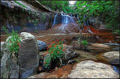 North Creek Kaskaden I