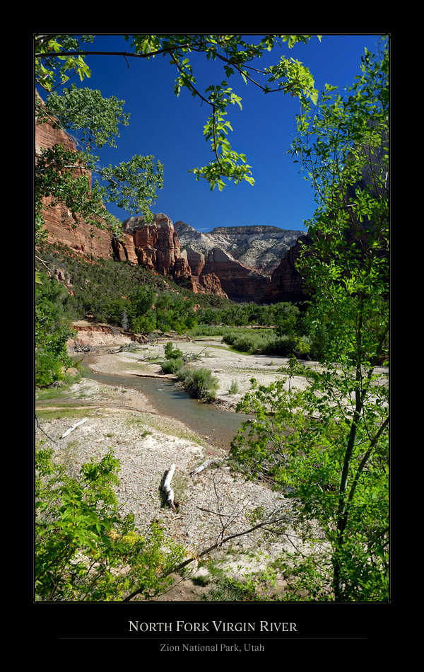 North Fork Virgin River