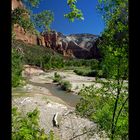 North Fork Virgin River