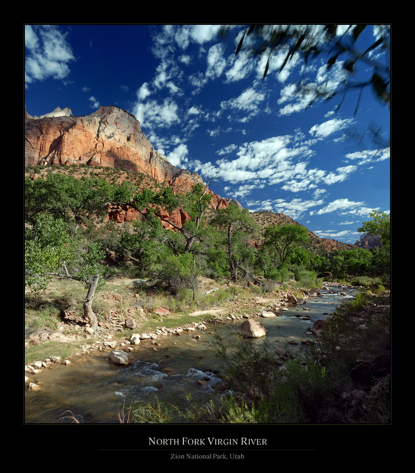 North Fork Virgin River