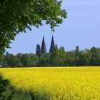 North German landscape