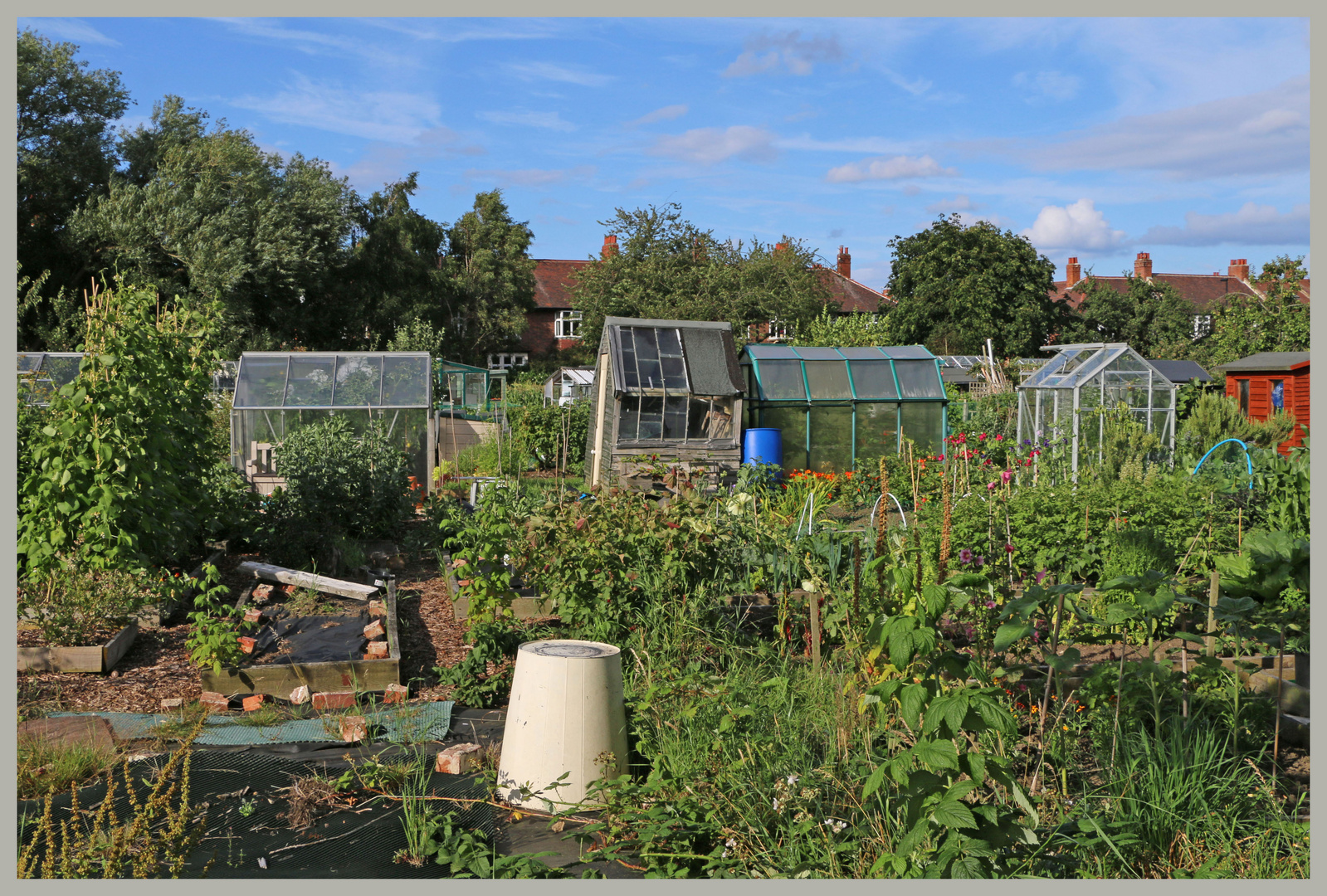 North jesmond allotments