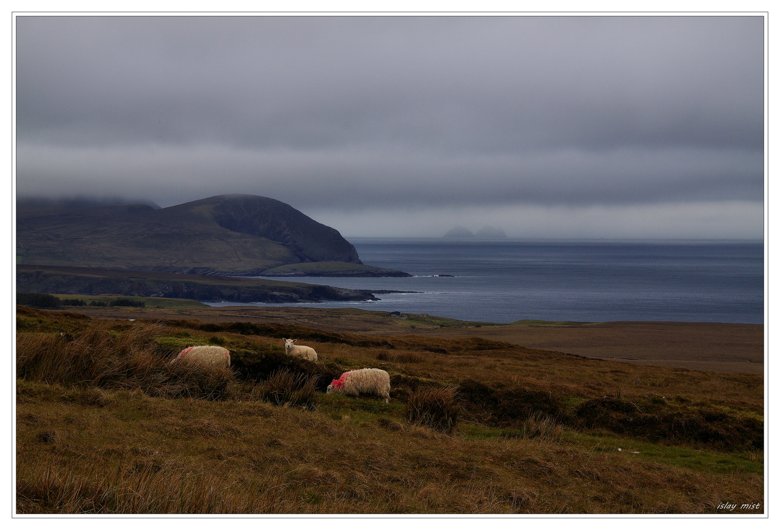 * North Mayo Coast *