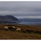 * North Mayo Coast *