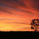 North Queensland