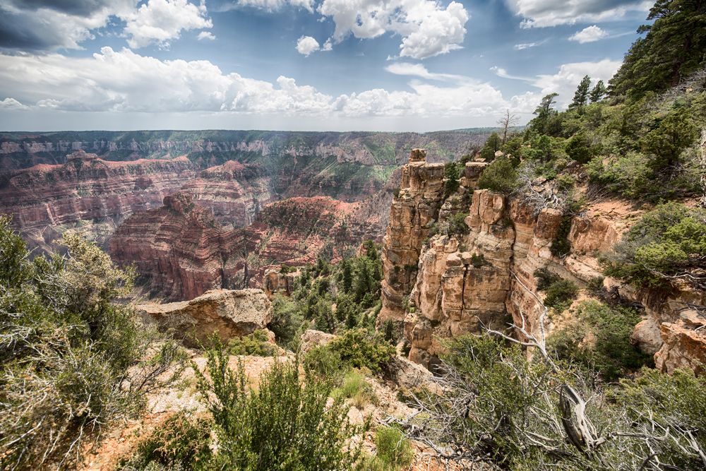 North Rim