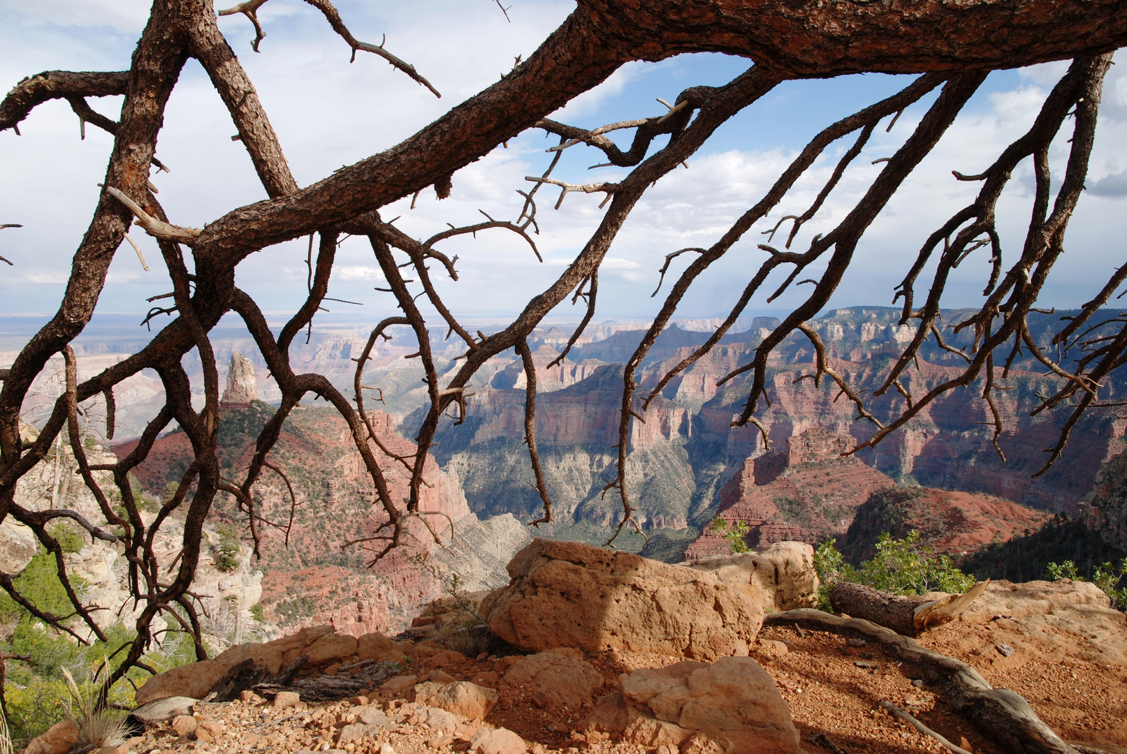 North Rim - Grand Canyon