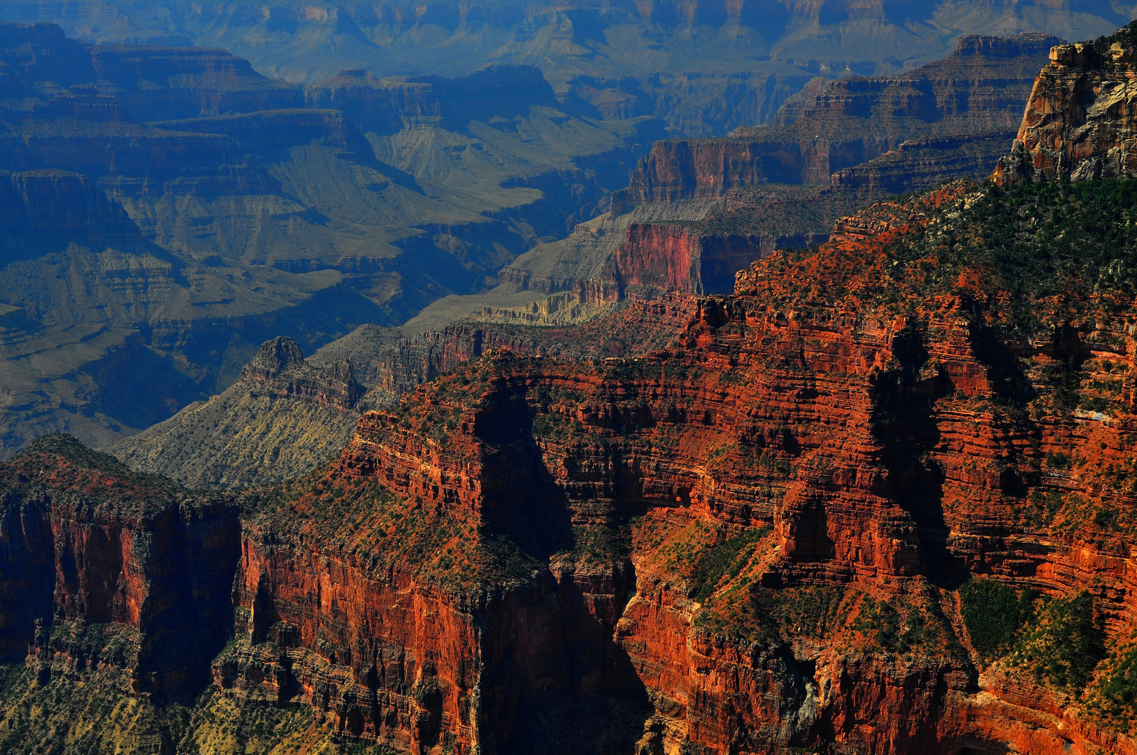 North Rim, Nähe Grand Canyon Lodge