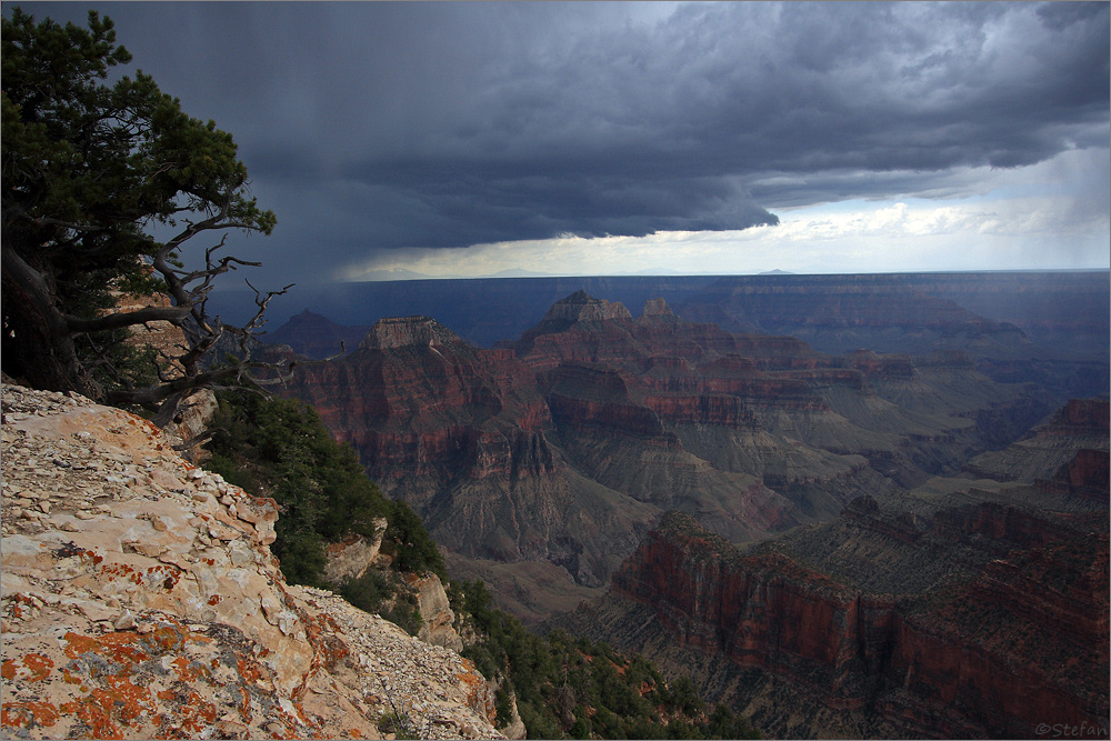 North Rim Thunderstorm