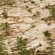 North Rim Trail - Utah