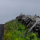 North Ronaldsay - Main Street / Orkney's / Schottland