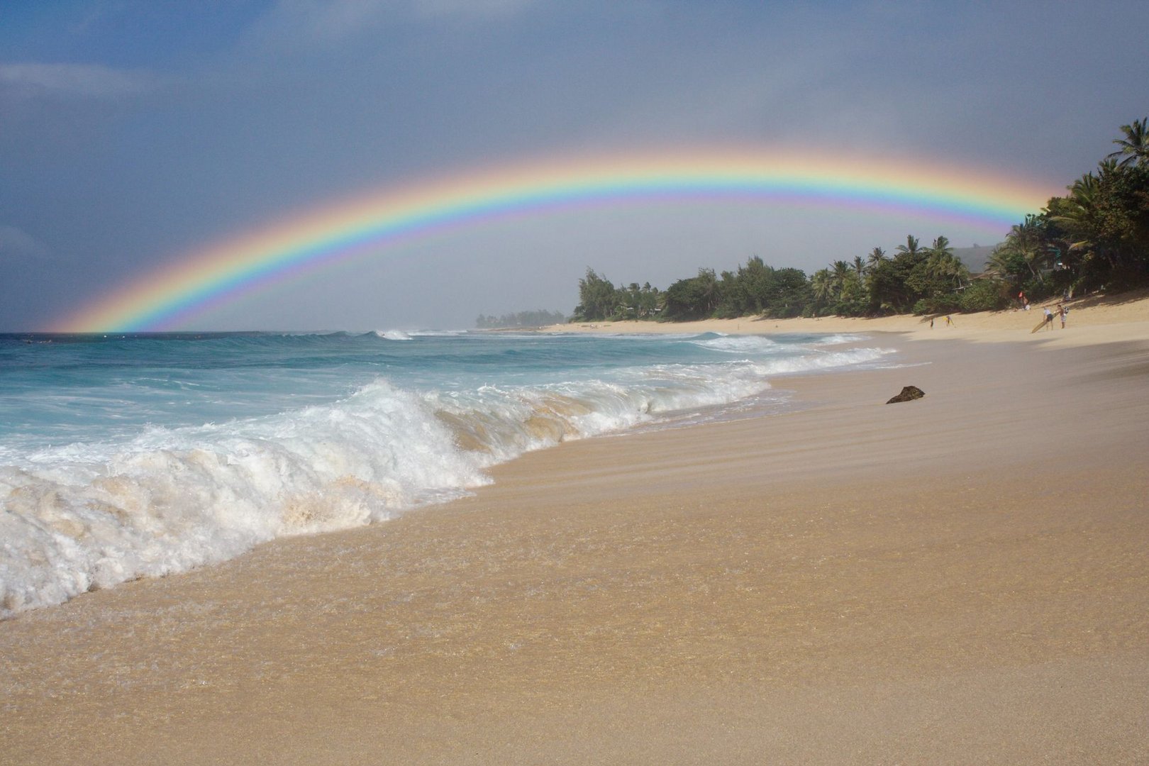 North Shore Ehukai Hawaii