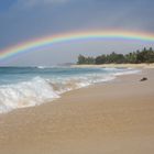 North Shore Ehukai Hawaii