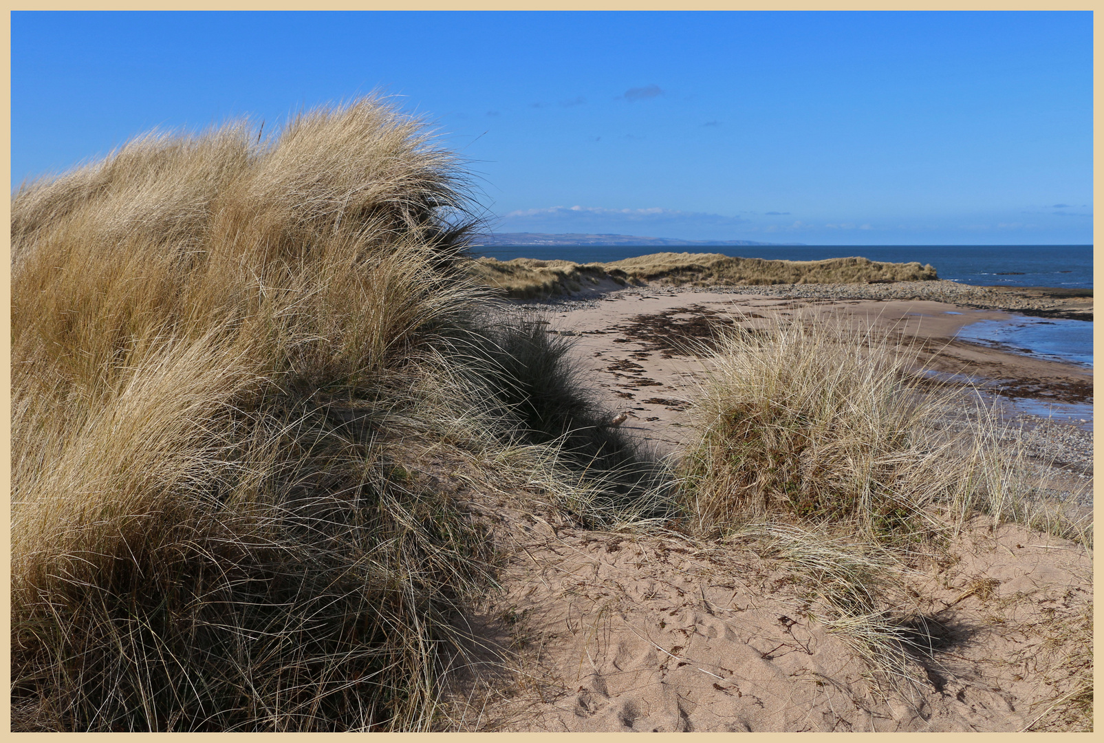 north shore of holy island 11