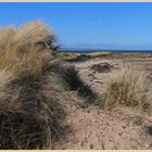 north shore of holy island 11