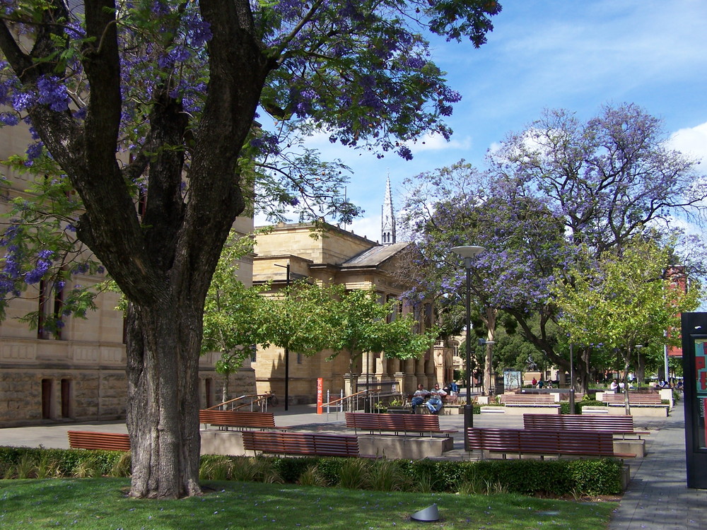 North Terrace, Adelaide, South Australia