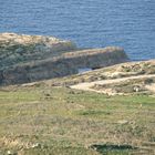 North-Western coast of the Island of Gozo